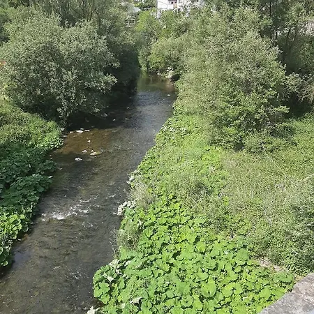 Отель Garni-hotel-schaefer *